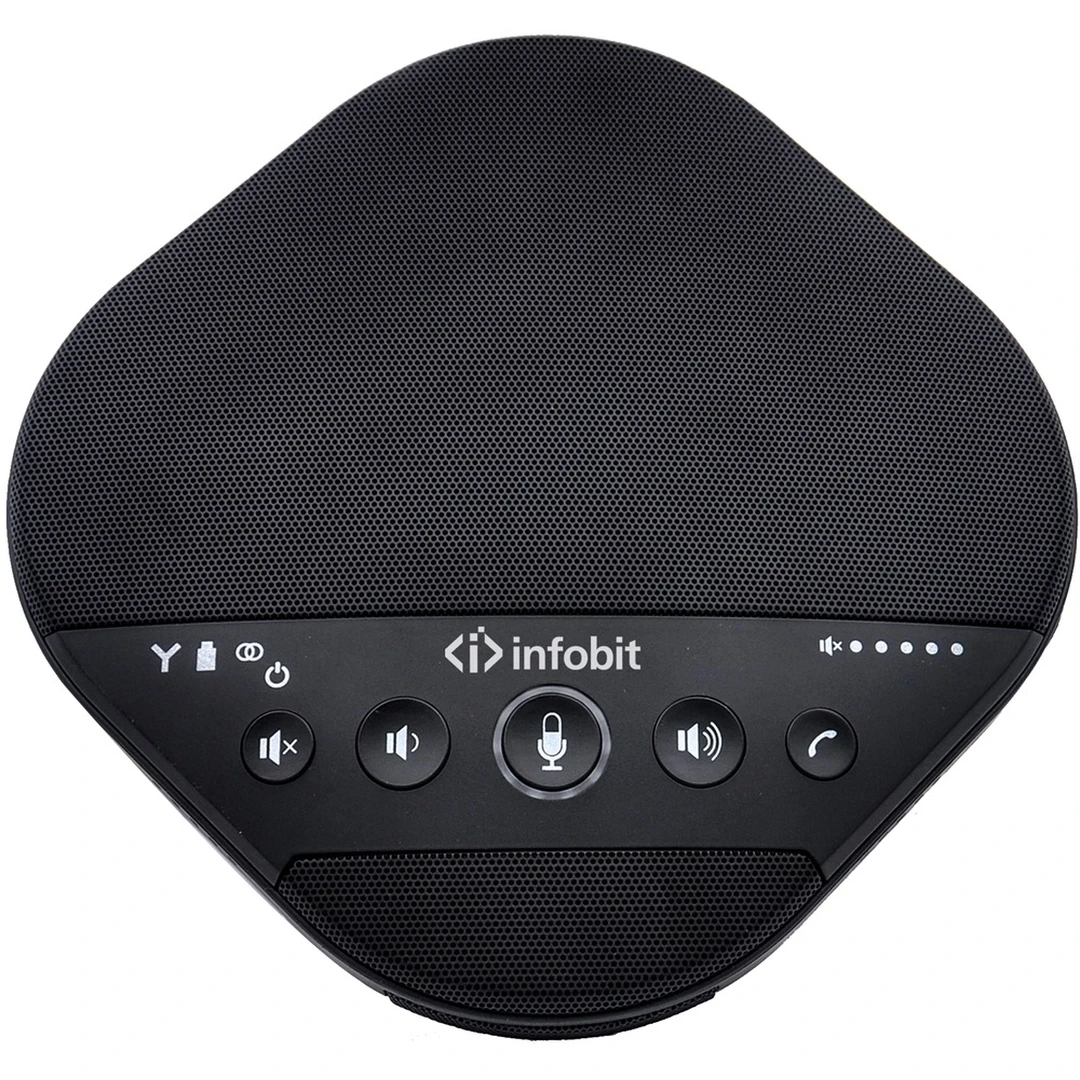 Радиосистема Infobit iSpeaker M600