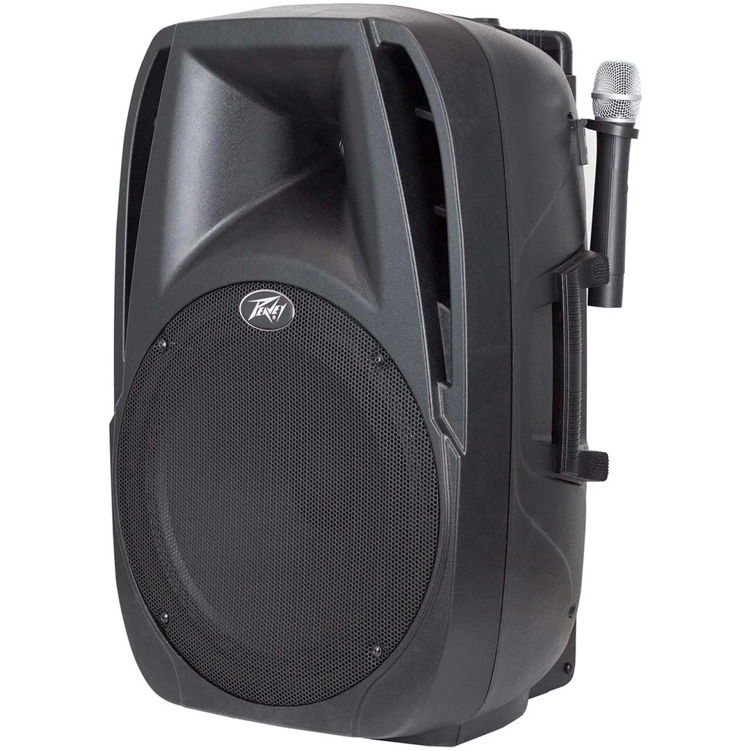 Портативная акустическая система Peavey PBK 12FM
