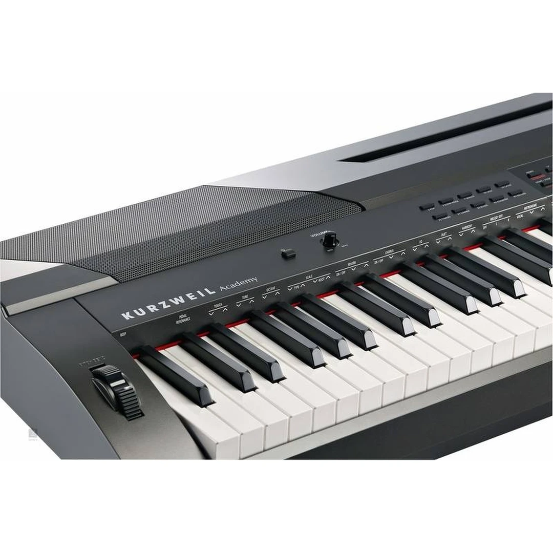 Цифровое пианино Kurzweil KA90 LB