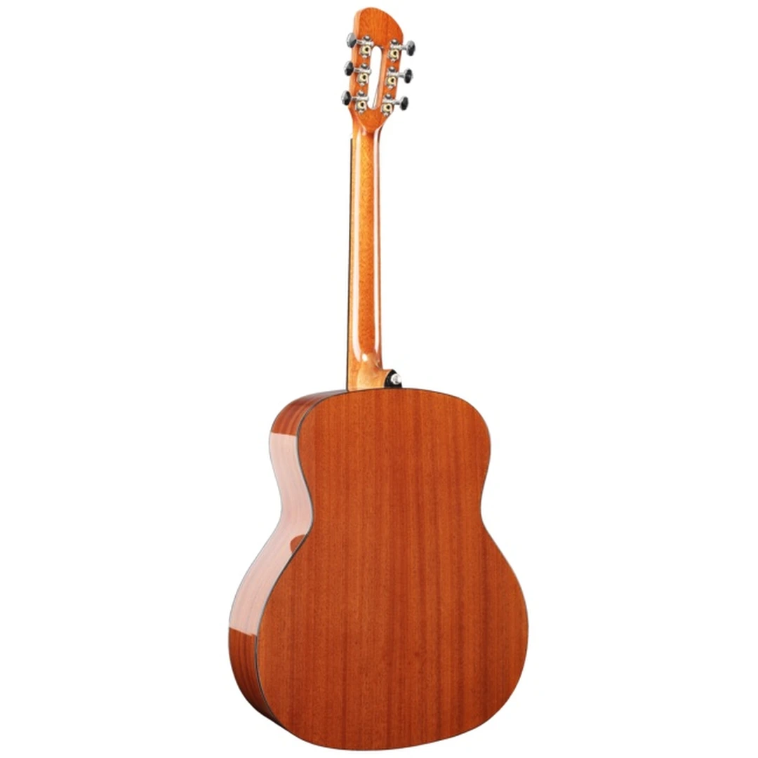 Акустическая гитара Prodipe SGA200