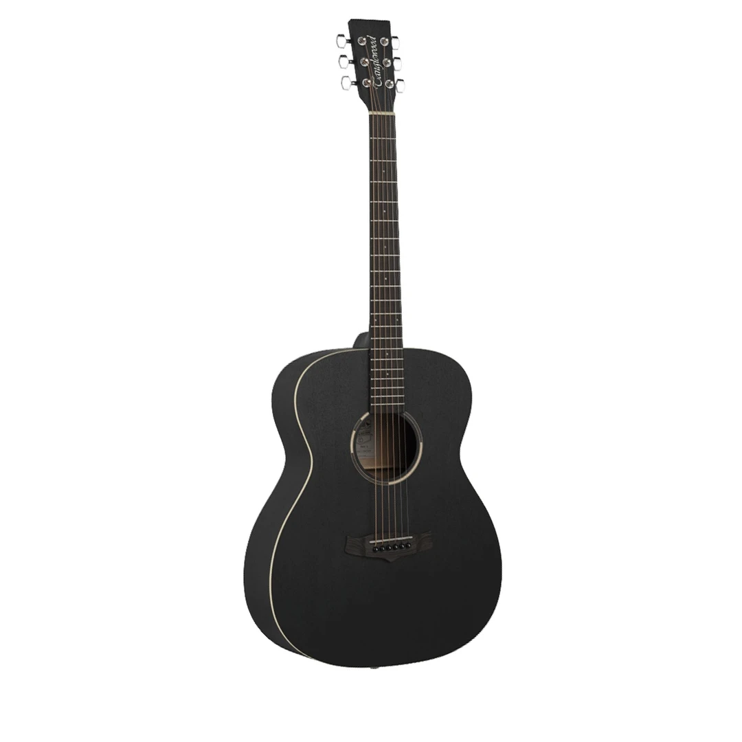 Акустическая гитара Tanglewood TWBB O
