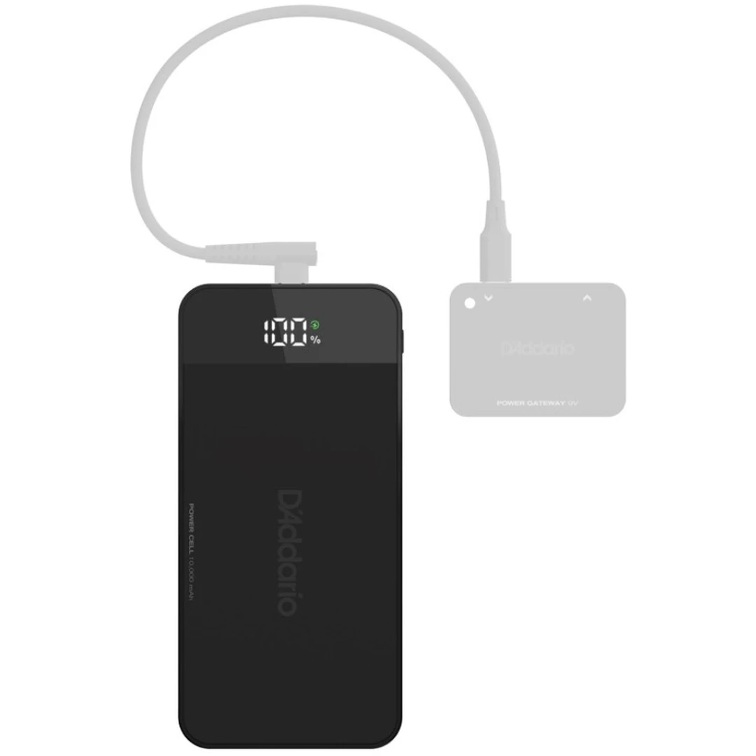 Аккумулятор Planet Waves PW-XPNDPPC-01