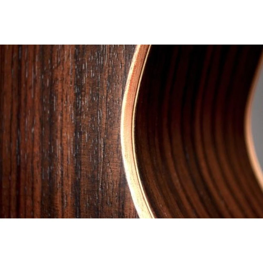 Акустическая гитара Dowina Danubius GAC-s