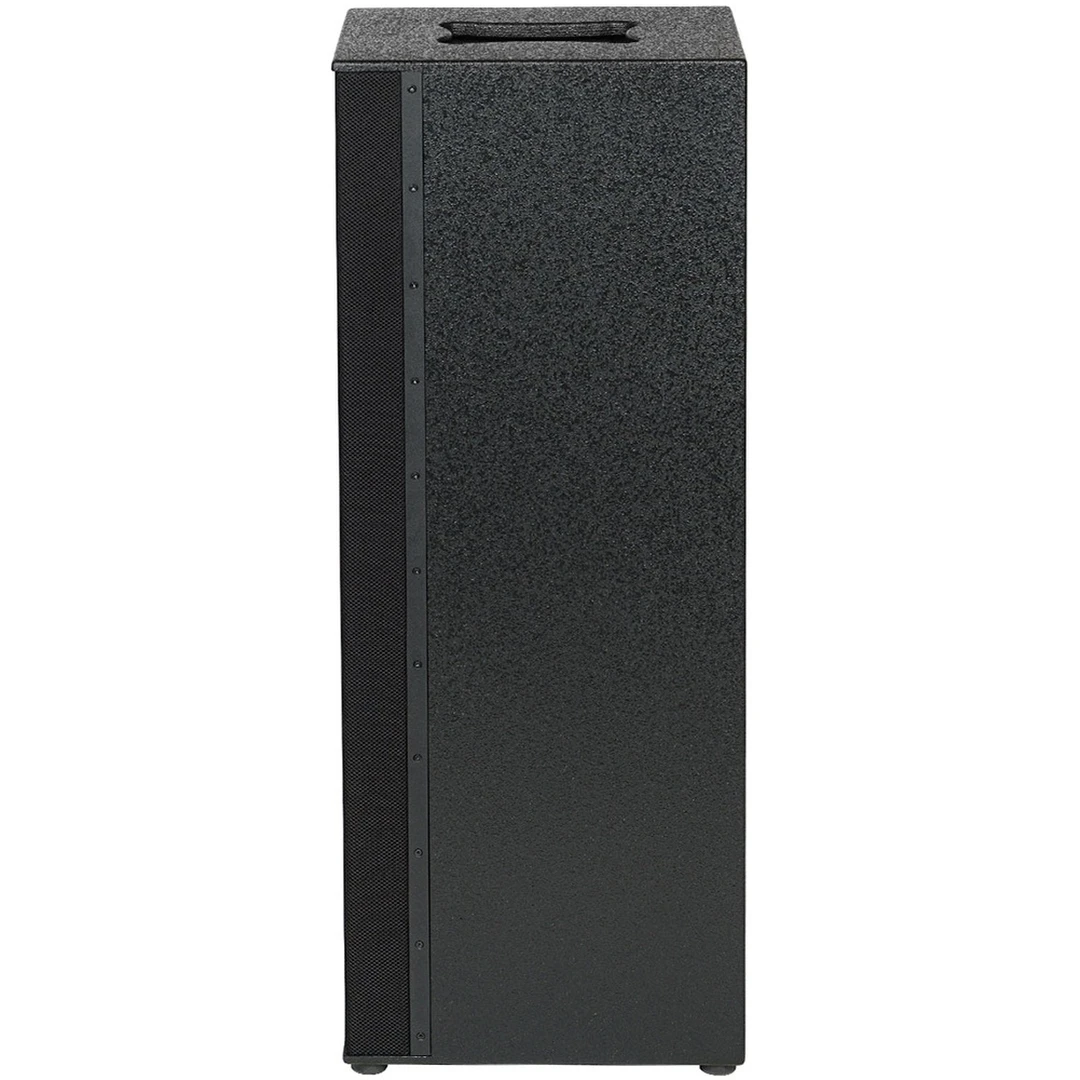Сабвуфер DS Proaudio PLR SUB