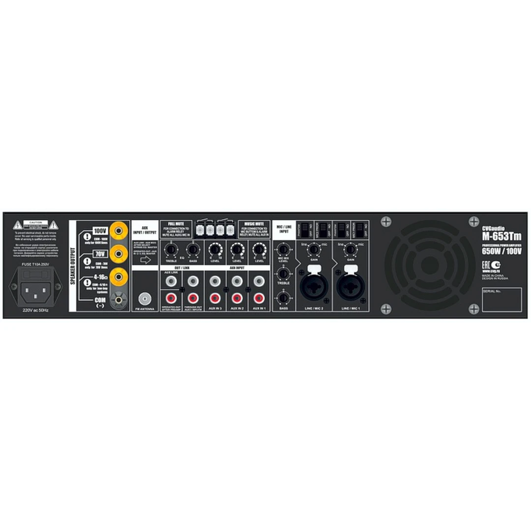 Усилитель CVGaudio M-653Tm