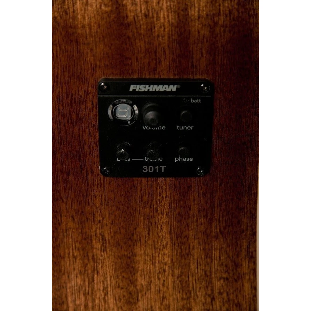 12-струнная электроакустическая гитара Washburn WD10SCE12