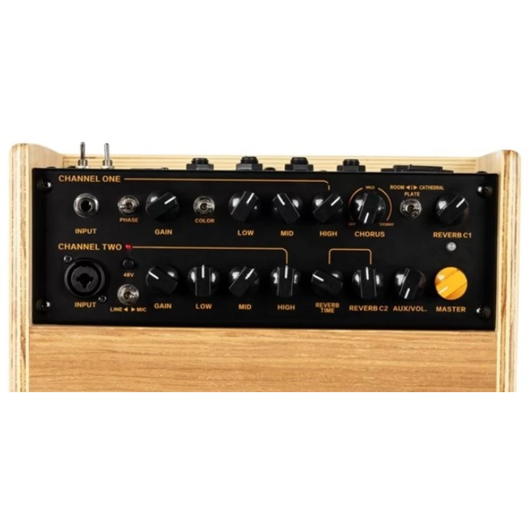 Комбоусилитель Ortega CONE-ASH C One