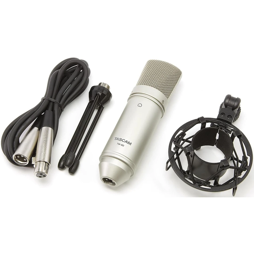 Микрофон Tascam TM-80