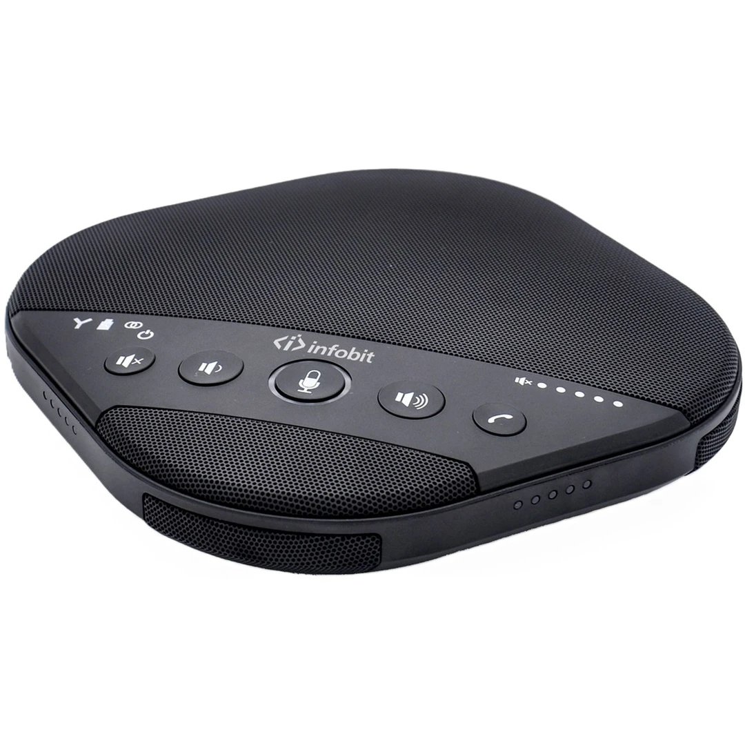 Радиосистема Infobit iSpeaker M600