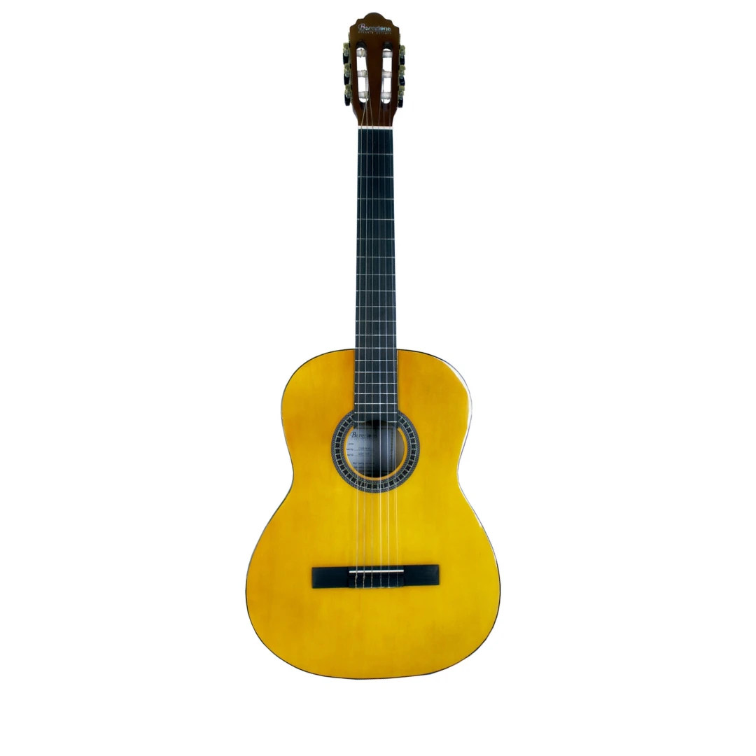 Классическая гитара Barcelona CG6