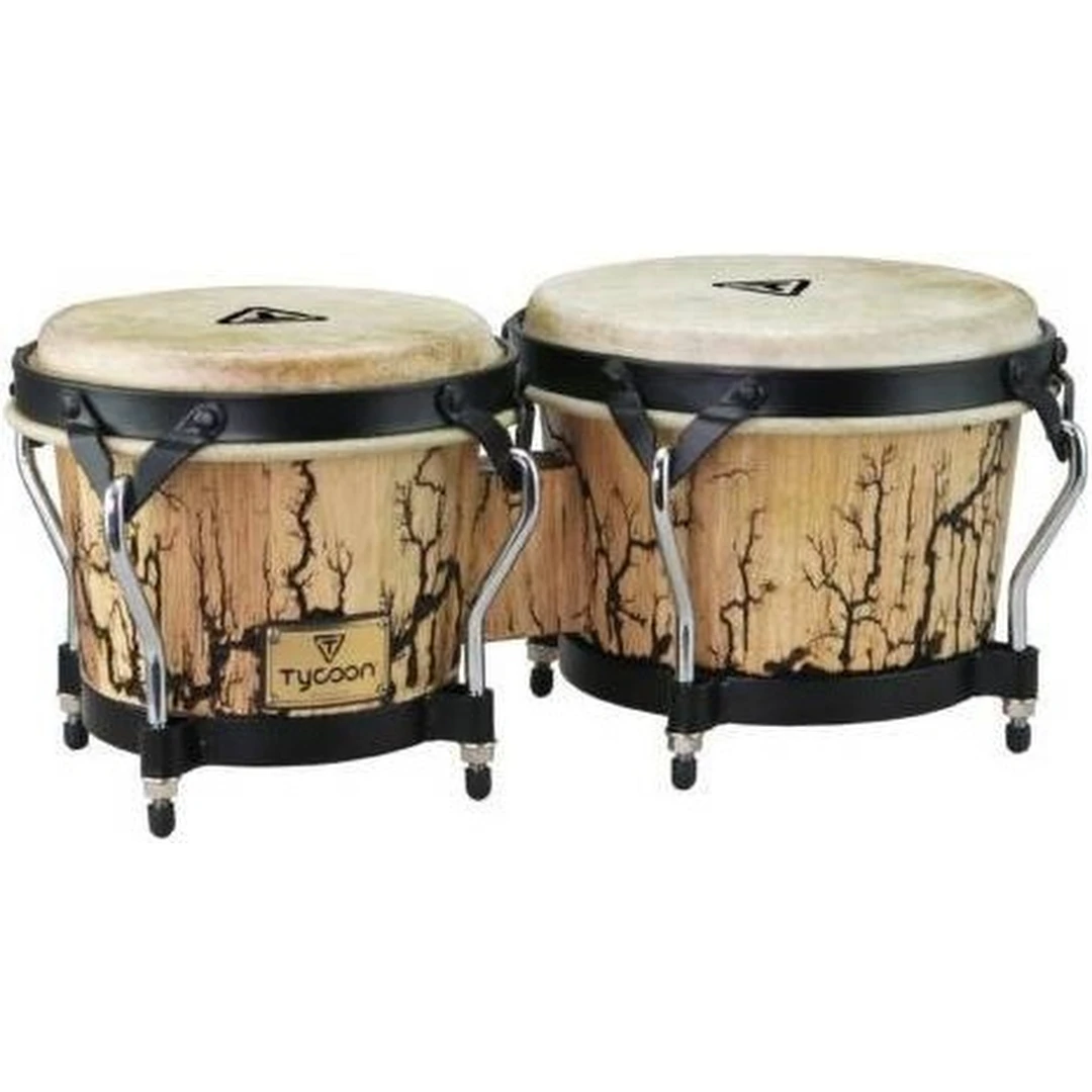 Бонго Tycoon STBS B WI