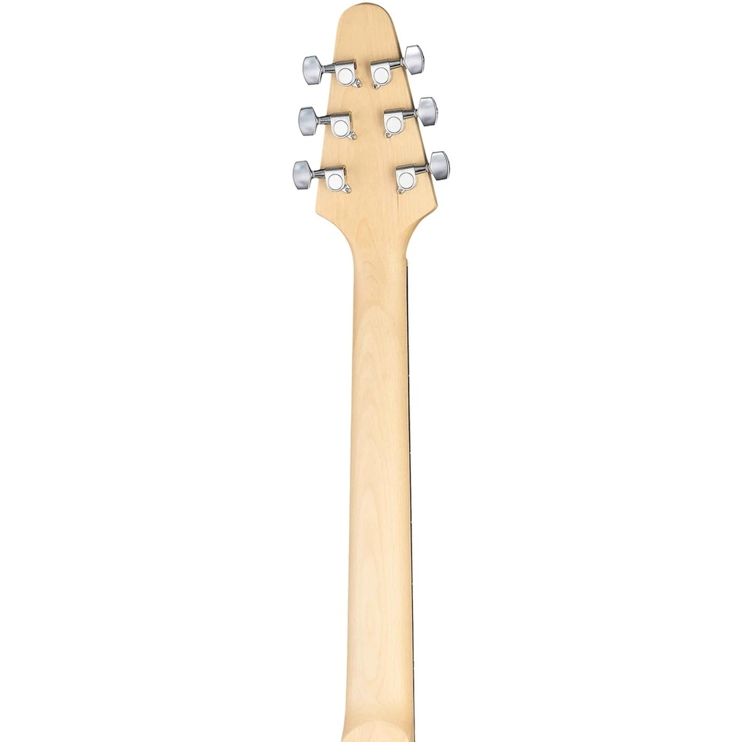 Электрогитара Sunsmile SFV-09