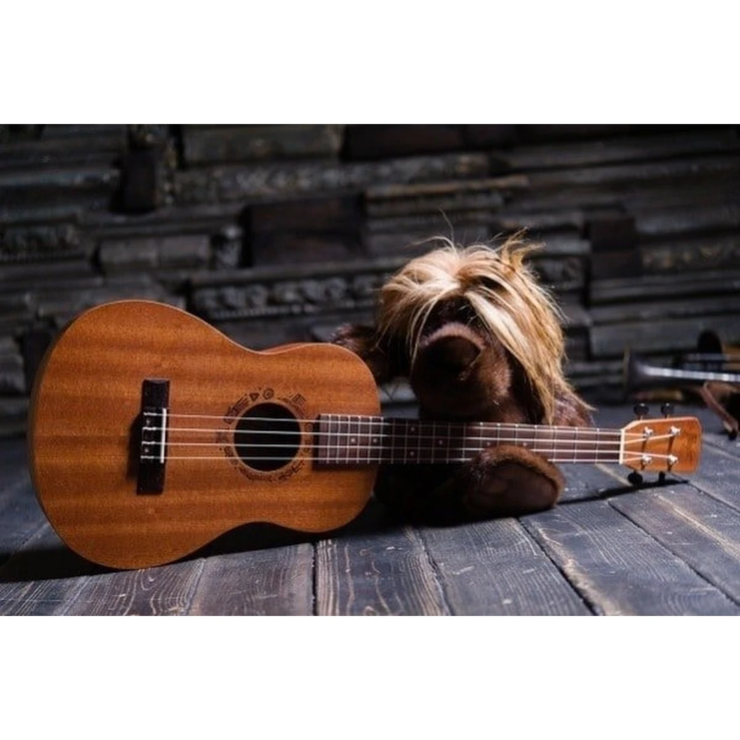 Укулеле Flight NUB 310