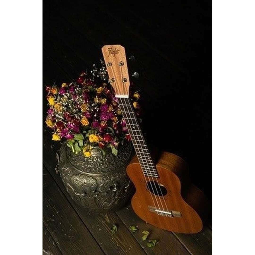 Укулеле Flight NUT 310