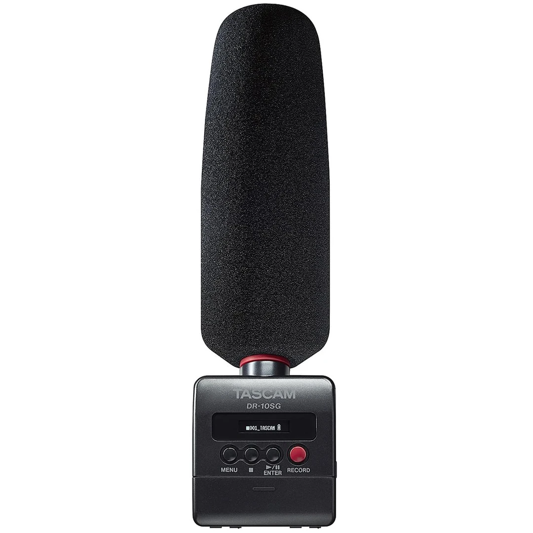 Портативный рекордер Tascam DR-10SG