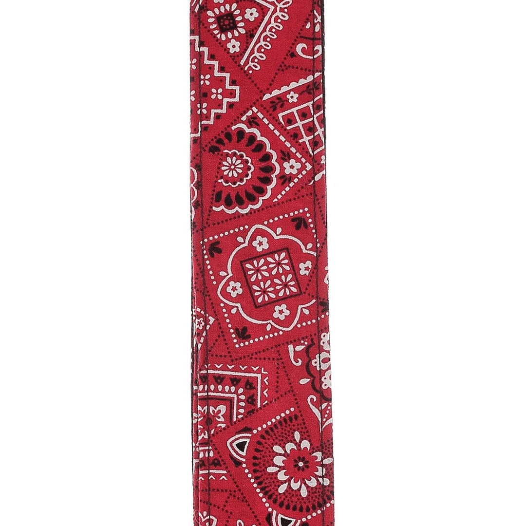 Ремень для гитары Planet Waves 50G02