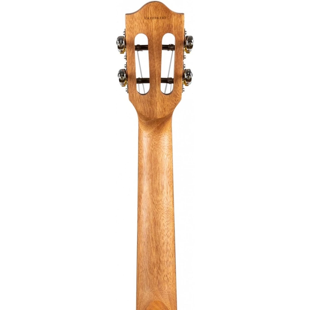 Укулеле Flight Iris Concert BK