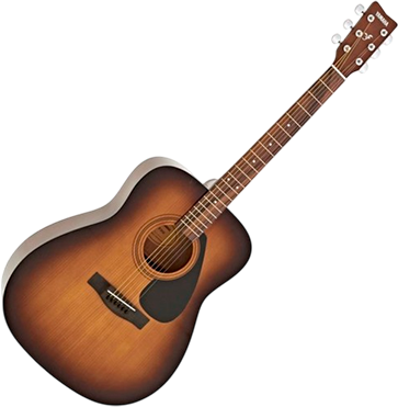 Yamaha F310