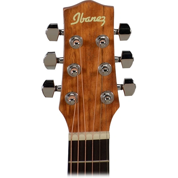 Акустическая гитара Ibanez EWP14WB-OPN