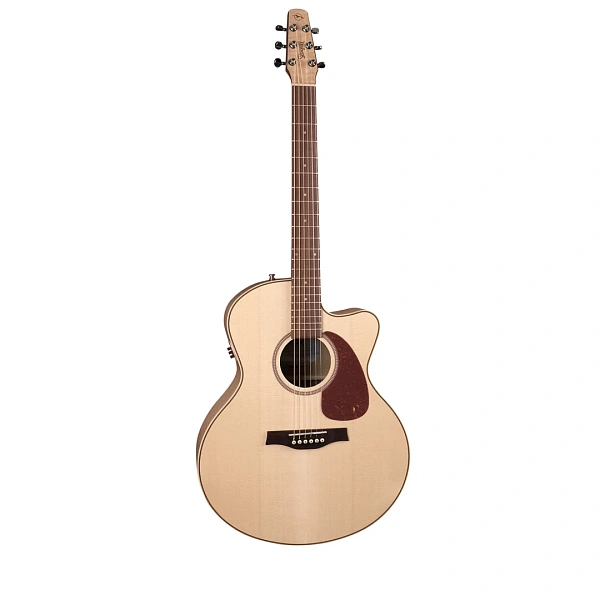 Электроакустическая гитара Seagull Performer CW Mini Jumbo HG QIT