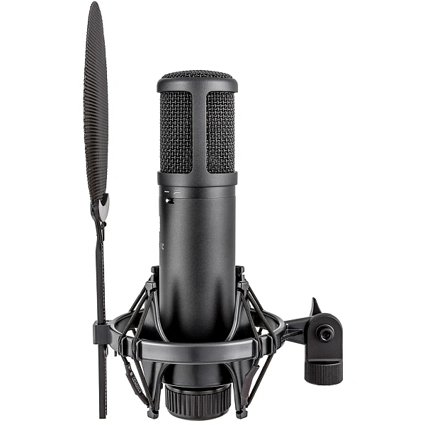 Микрофон sE Electronics sE2200