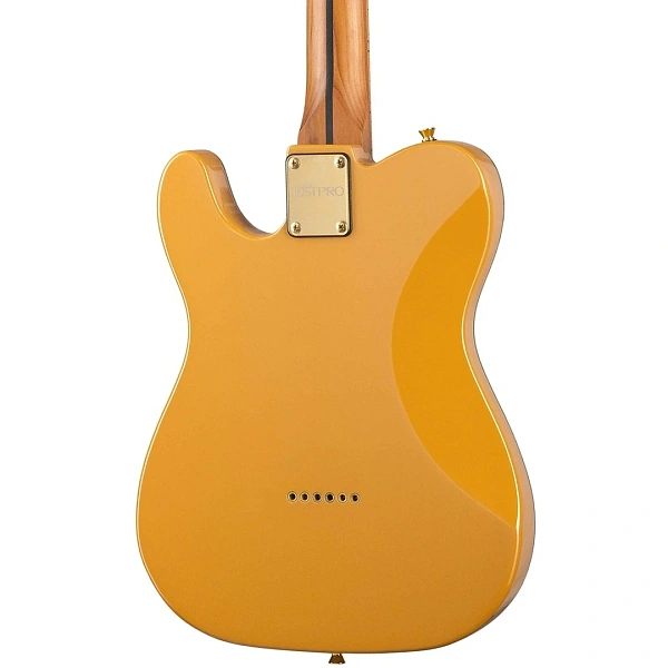 Электрогитара Justpro TCSE-RMA01-BG