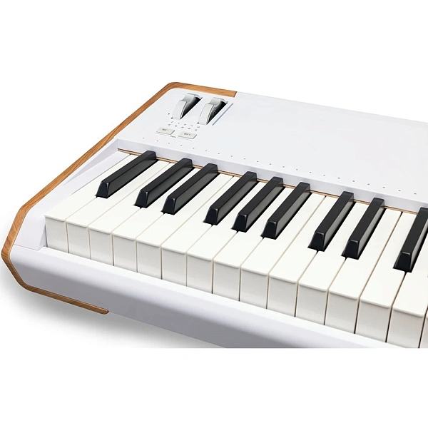 Синтезатор Arturia Astrolab 88