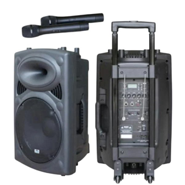 Портативная акустическая система HL Audio SK-15A-USB