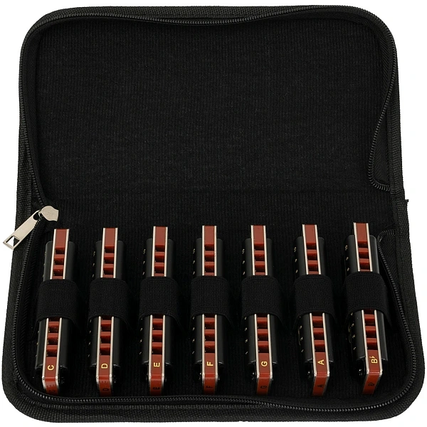 Набор губных гармошек Cascha HH 2224 Professional Blues