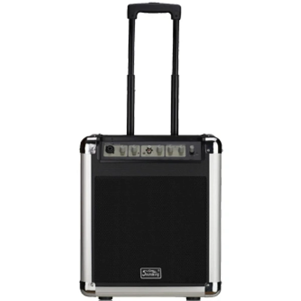 Портативная акустическая система Soundking PA10W