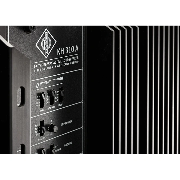 Студийный монитор Neumann KH 310 A R G