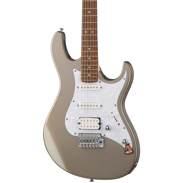 Электрогитара Cort G250 SVM WBAG