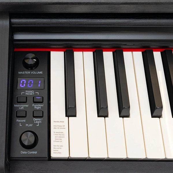 Цифровое пианино Rockdale Etude 128 Graded Black