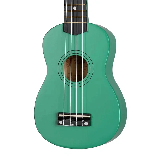Укулеле Homage RS-C1-GR