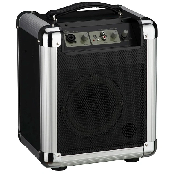 Портативная акустическая система Soundking PA6B