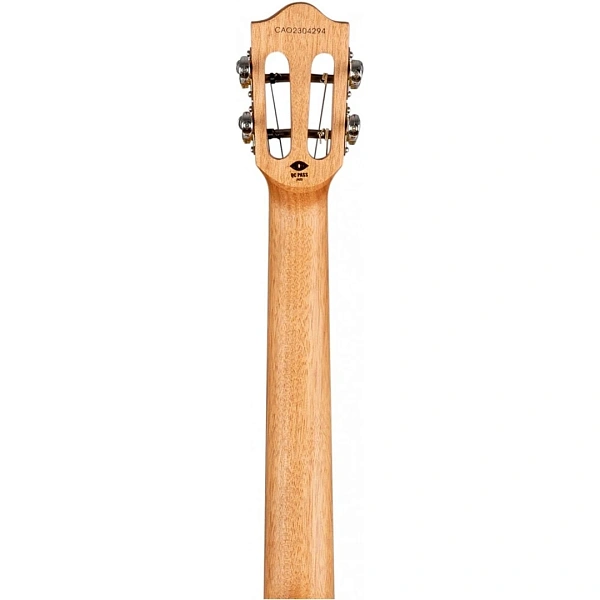 Укулеле Flight Iris Tenor BK