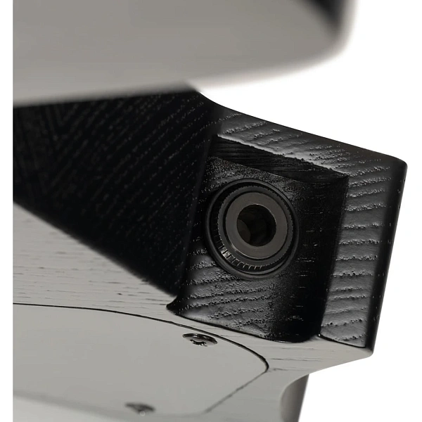 Электрогитара Eart GW2 Stealth Black