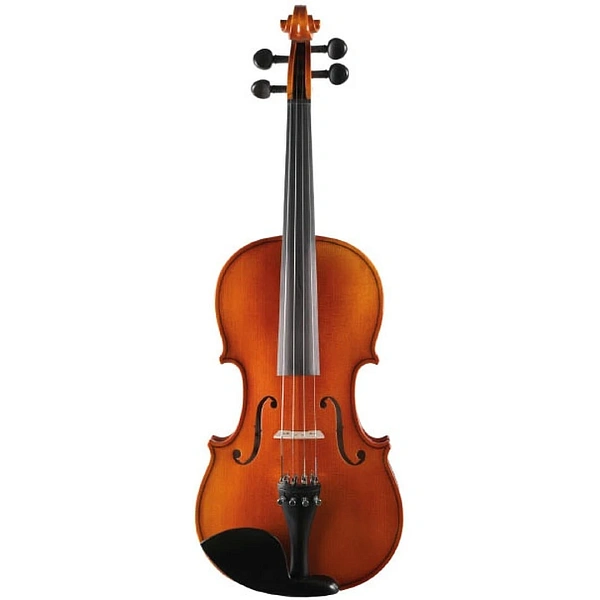 Скрипка Strunal Ravena 920A 4/4