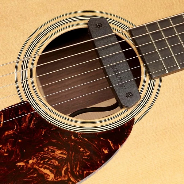 Звукосниматель Fishman PRO-NEO-D01 Neo-D