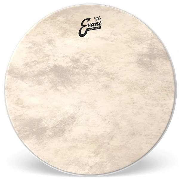 Пластик Evans BD18CT