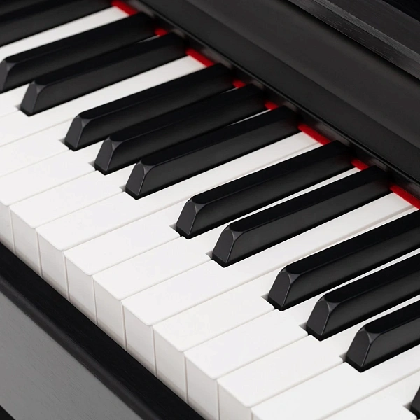 Цифровое пианино Rockdale Sonata Black