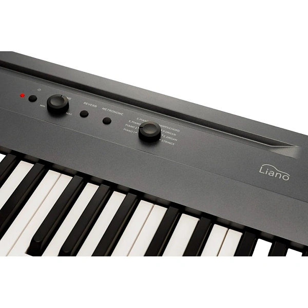 Цифровое пианино Korg L1 MG