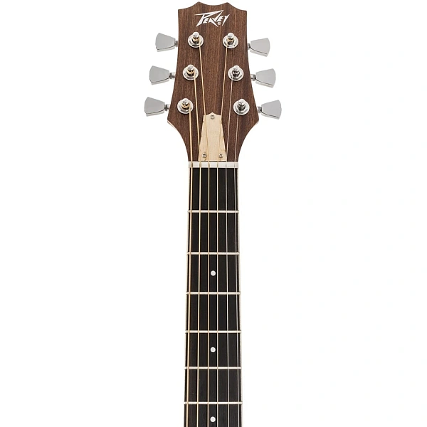 Электроакустическая гитара Peavey DW-2 CE Solid Top Cutaway w/Case