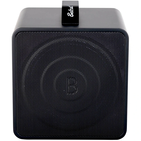Комбоусилитель Belcat Busker-Box-Acoustic