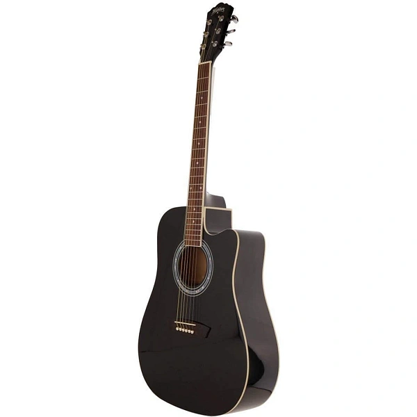 Акустическая гитара Washburn WA90CB