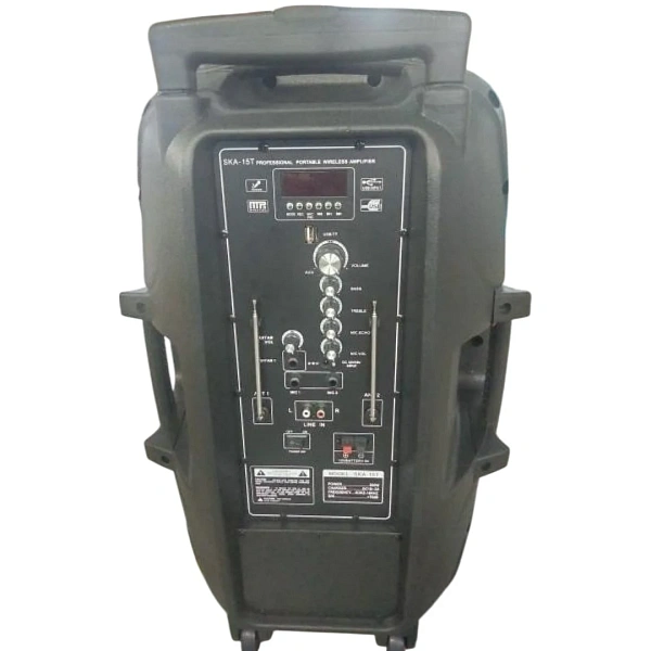 Портативная акустическая система HL Audio SKA15T