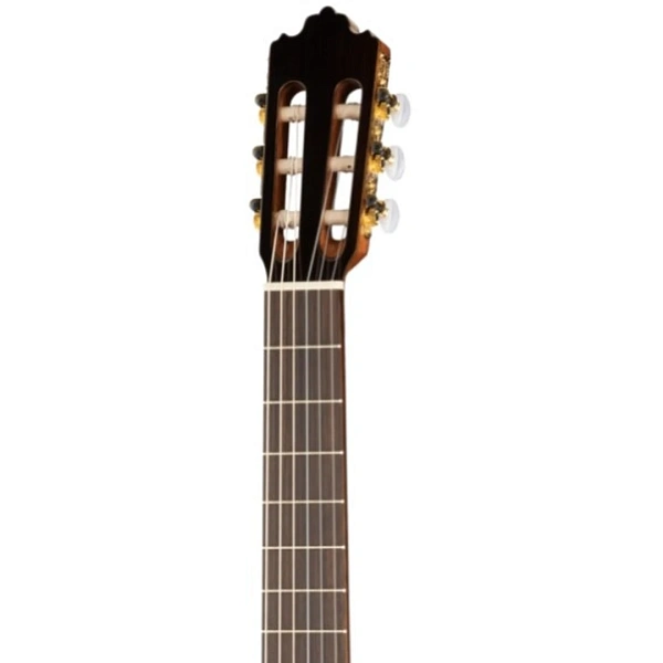 Классическая гитара Prodipe Soloist 500