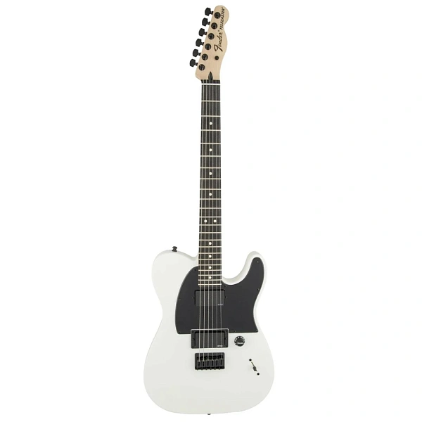 Электрогитара Fender Jim Root Telecaster Flat White EB