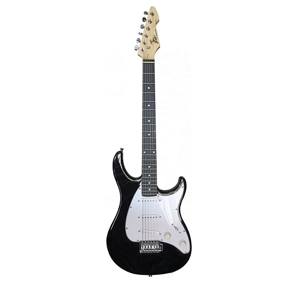 Электрогитара Peavey Raptor Plus Black