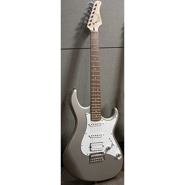 Электрогитара Cort G250 SVM
